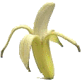 köderbanane_banane als köder